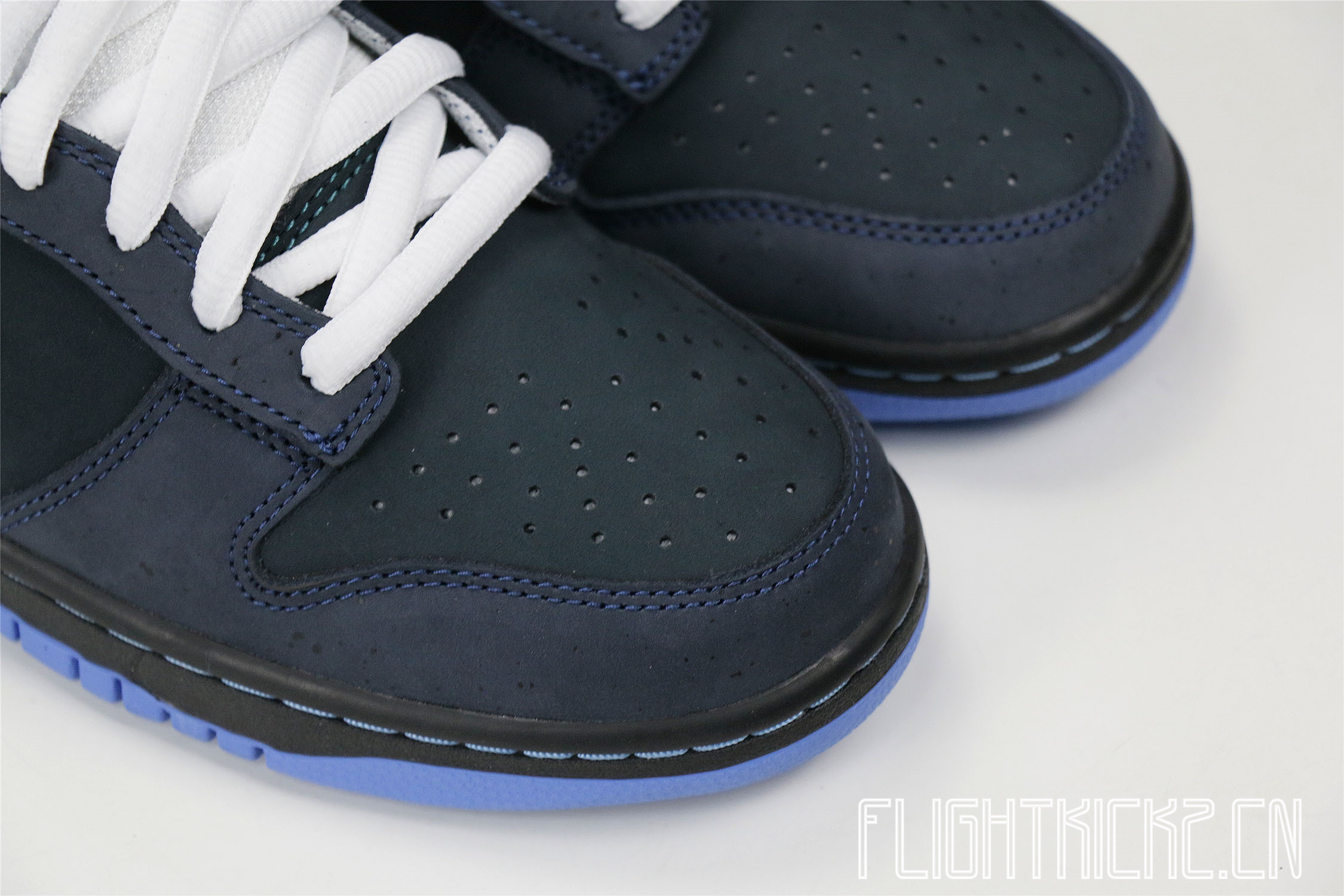 Nike Dunk SB Low Blue Lobster