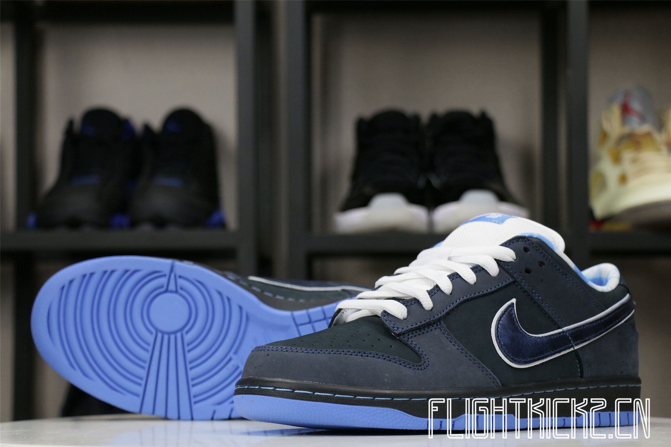 Nike Dunk SB Low Blue Lobster