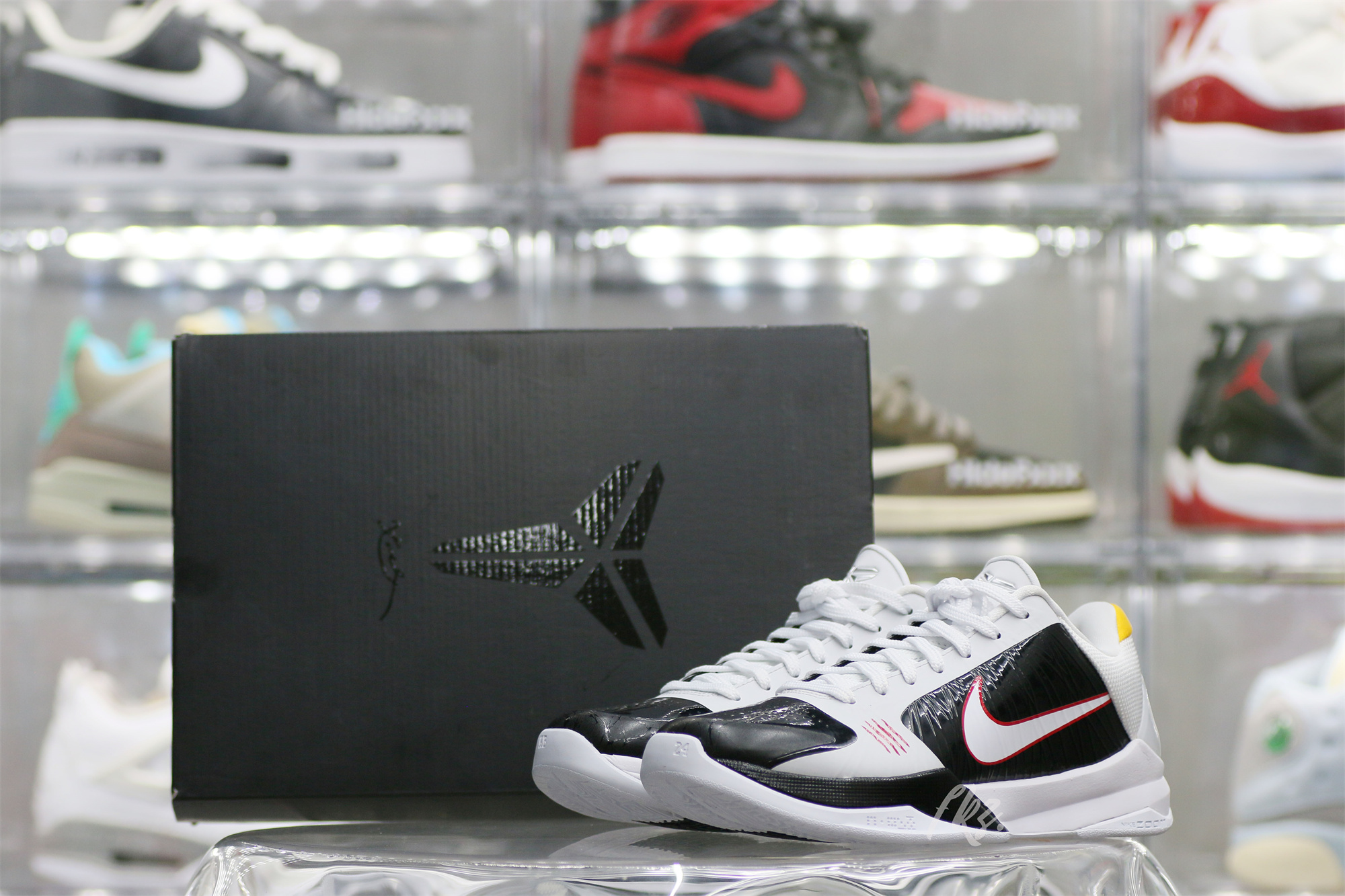 Nike Kobe 5 Protro Bruce Lee Alternate(A1 Batch)