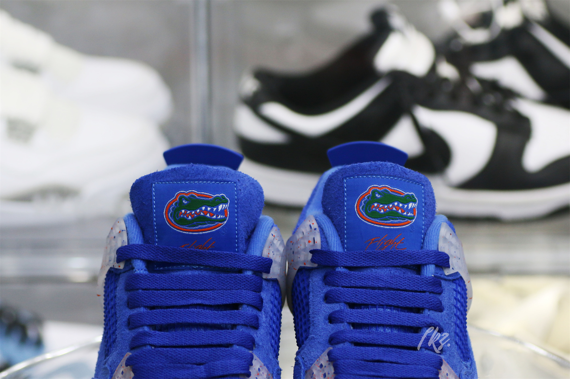 Air Jordan 4 Florida Gators PE