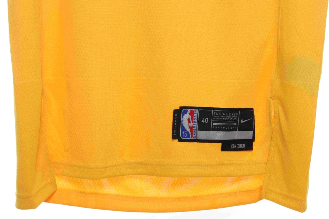 Nk NBA Lakers James James No. 6 jersey