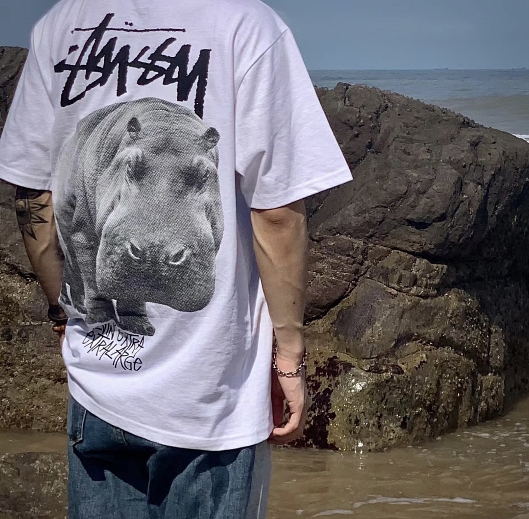 Stussy hippo print short sleeves