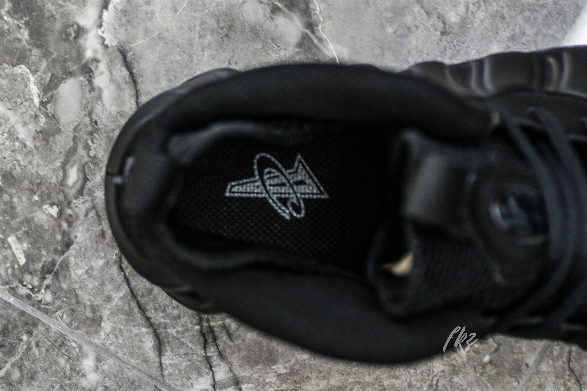 Nike Air Foamposite One Anthracite (2023)