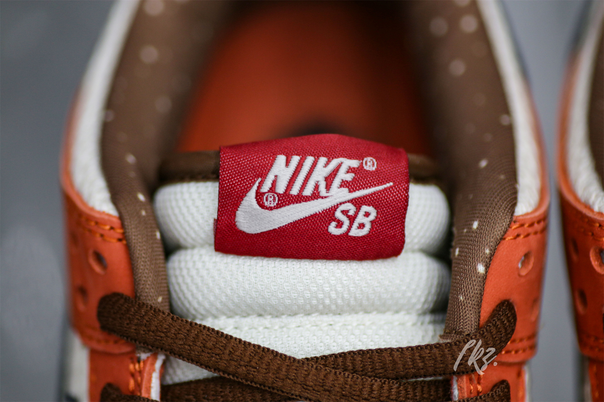 Nike SB Dunk Low Top Ramen 2009