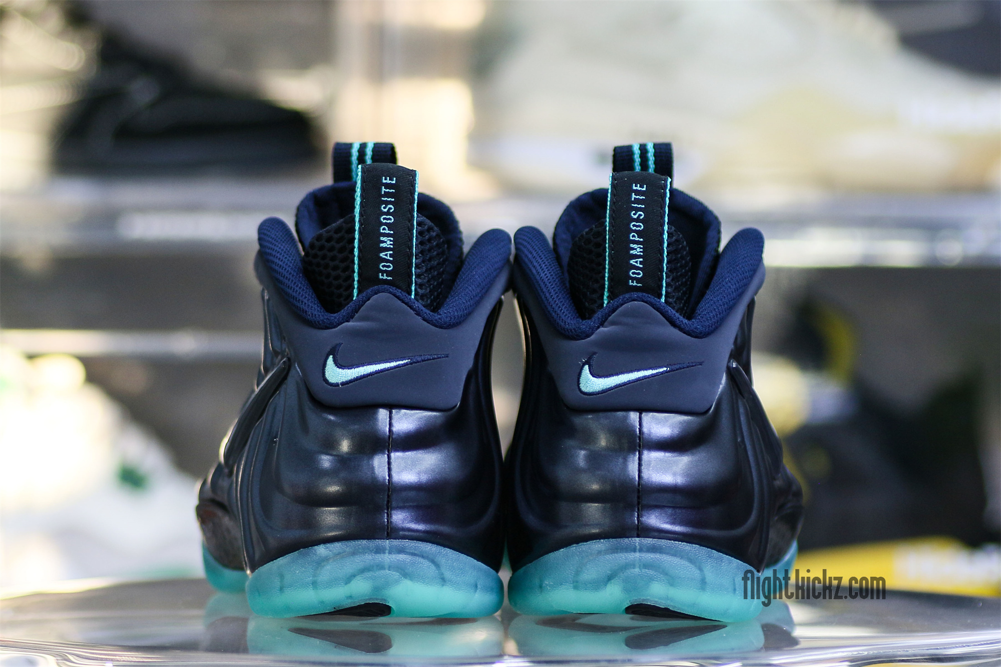 Nike Air Foamposite Pro (Obsidian/Aqua)