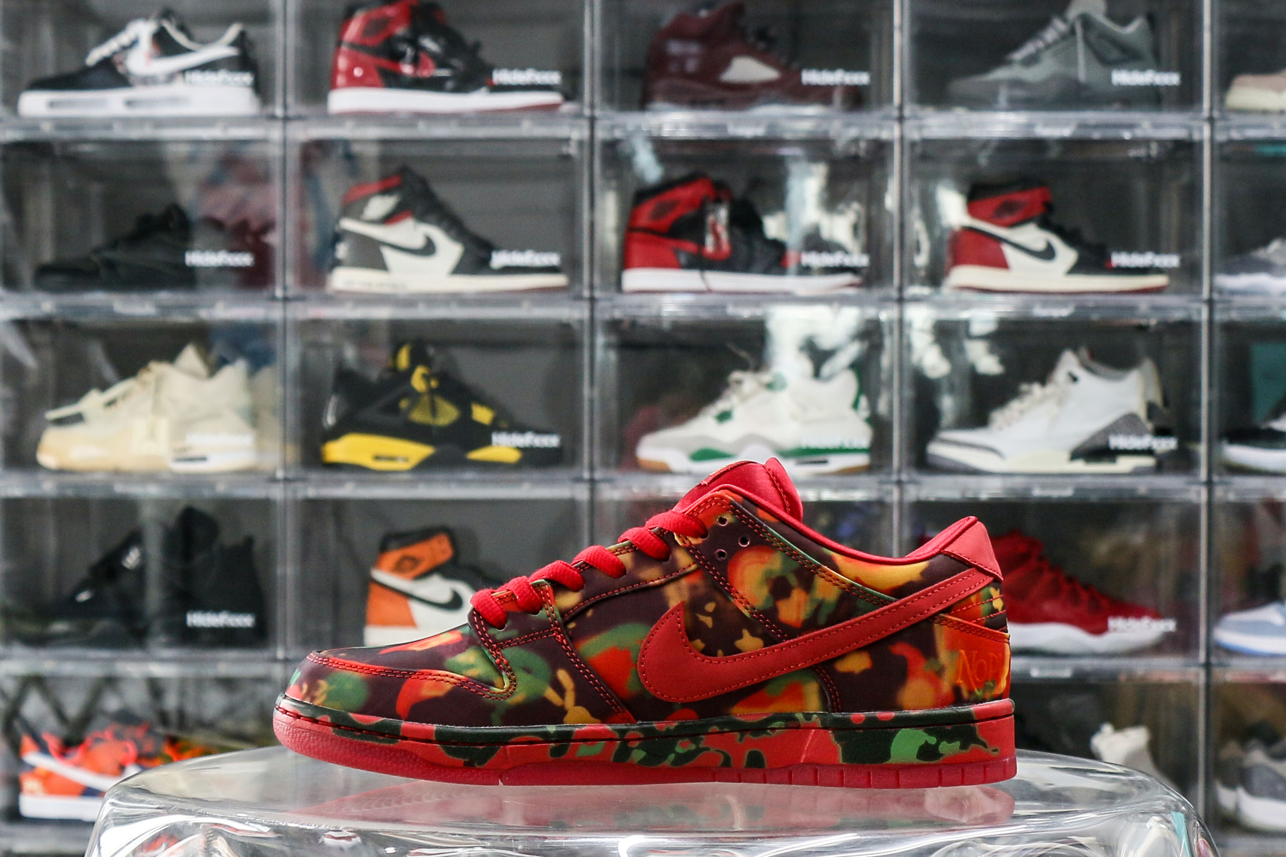 Nike SB Dunk Low The Wizard of Oz Poppy Field