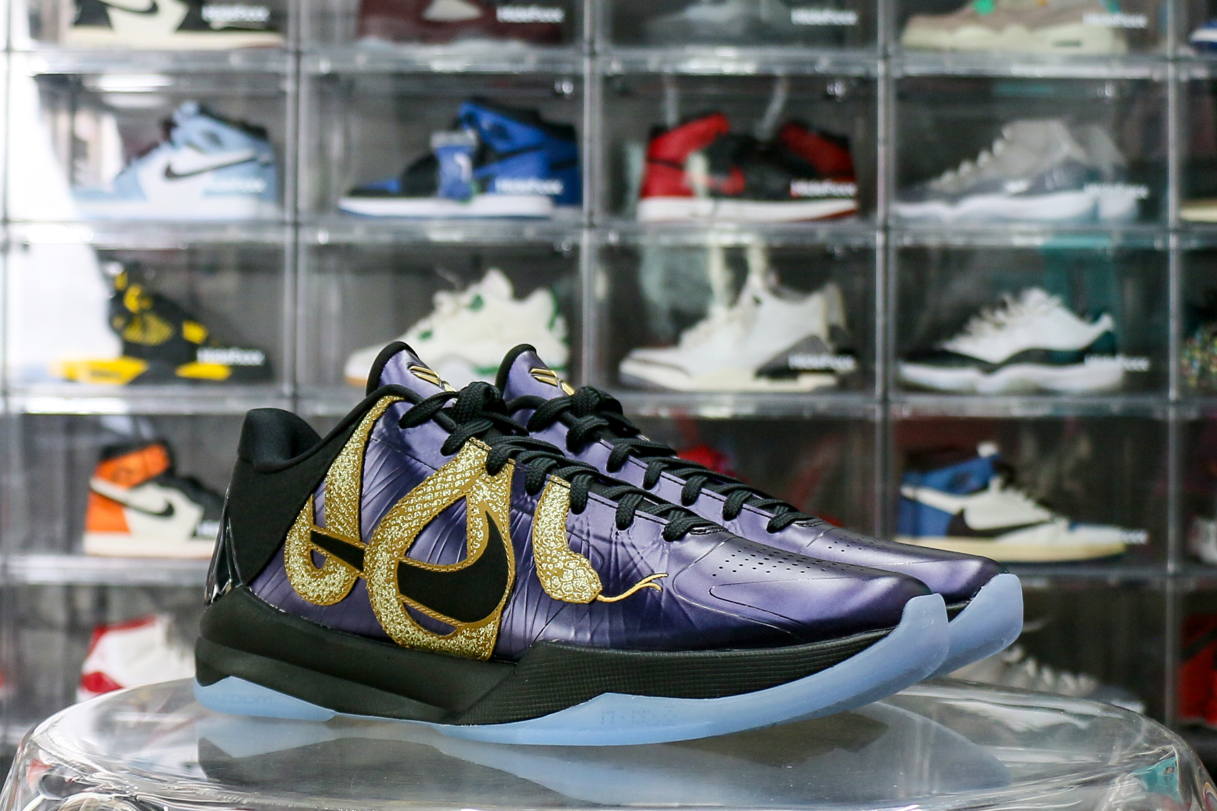 Nike Kobe 5 Protro Year of the Mamba Eggplant 2025（Ln5 A1）