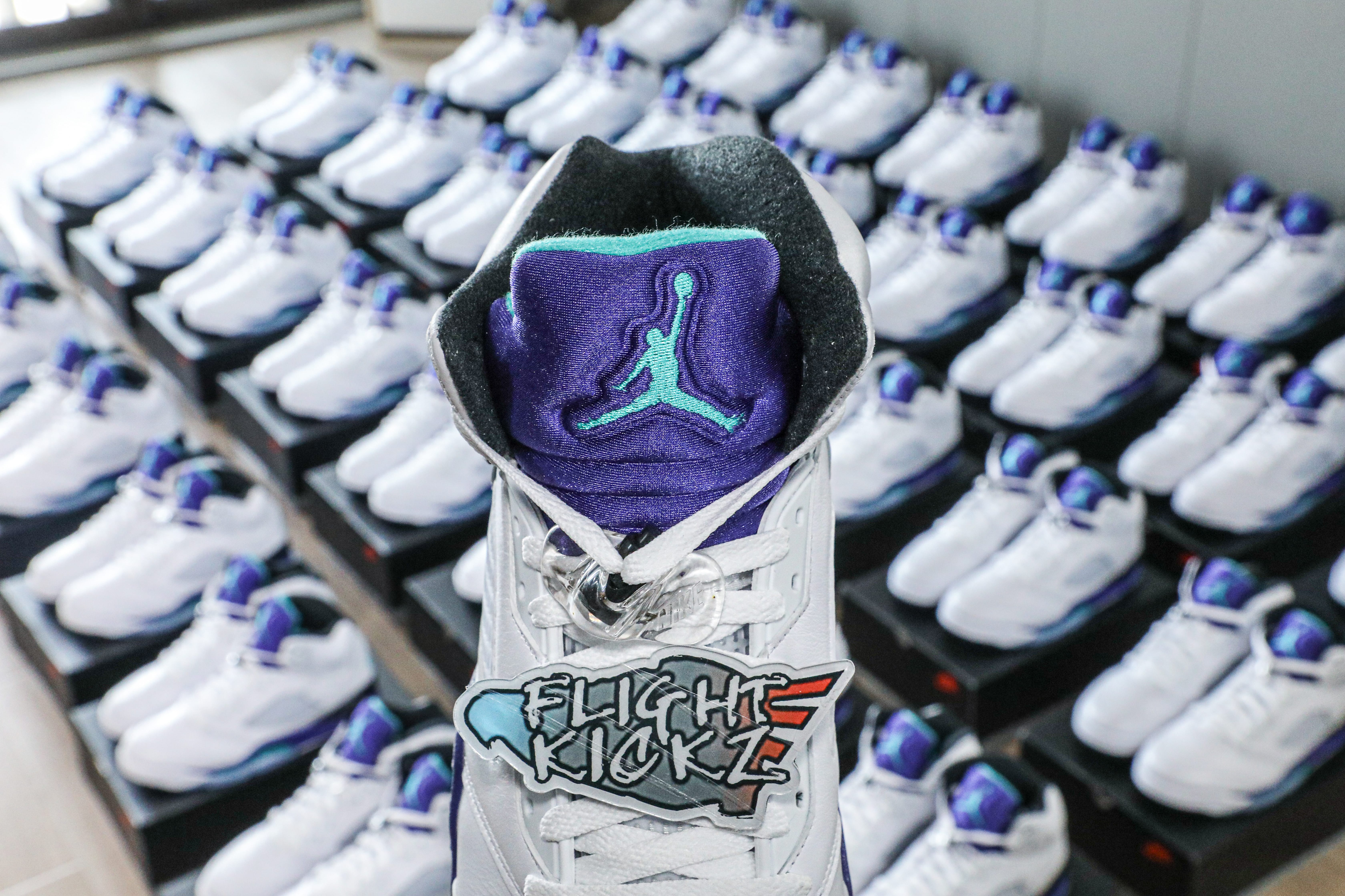 Air Jordan 5 Retro Grape 2025 (Ln5 A1)
