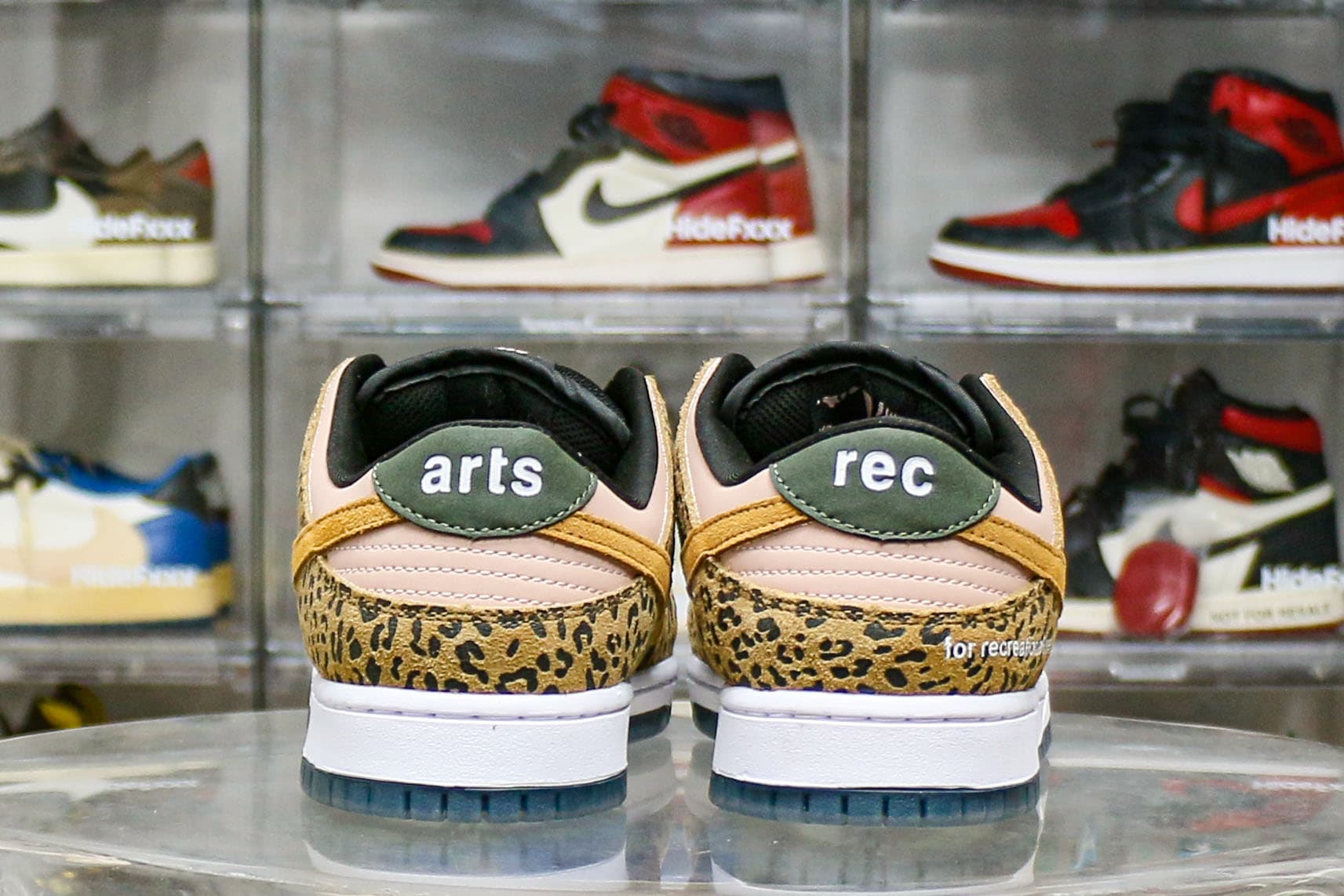 Arts Rec X Dunk Low SB For Recreational Use